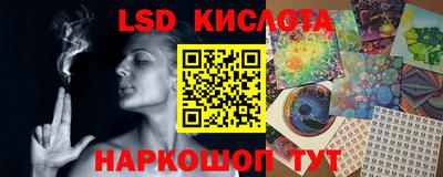 мяу мяу мука Малоярославец