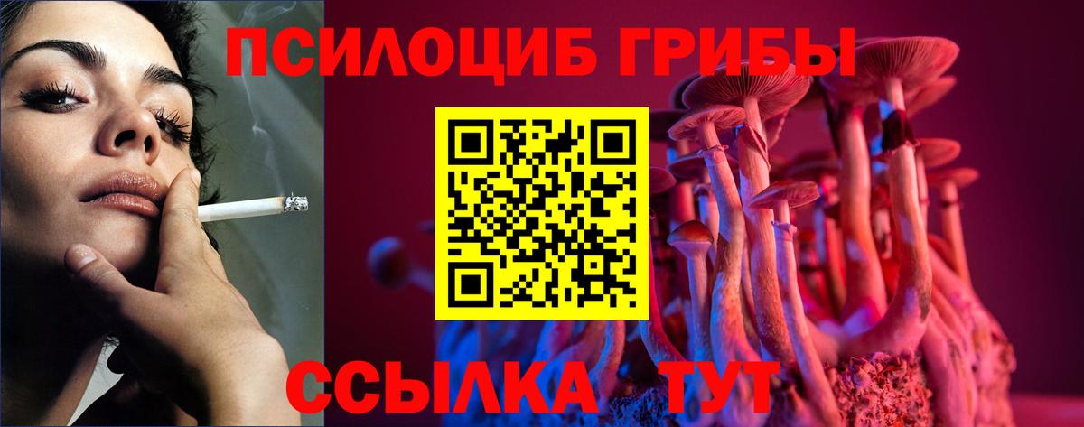 Псилоцибиновые грибы мицелий Ялуторовск